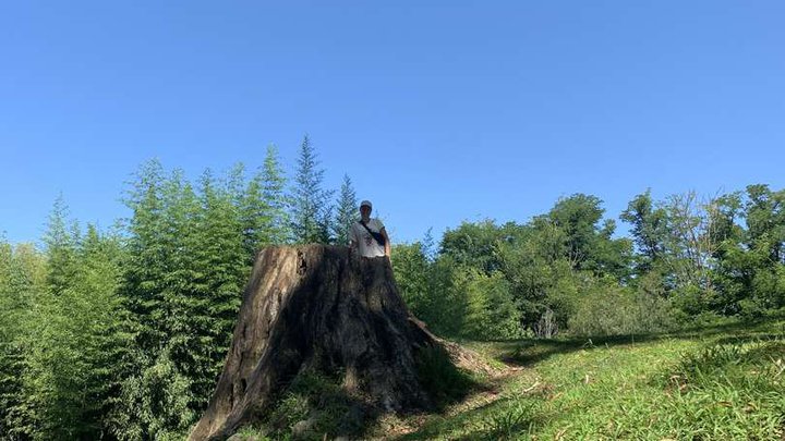 Потийский кафедральный собор