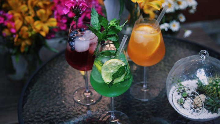 IVY Wine Tapas