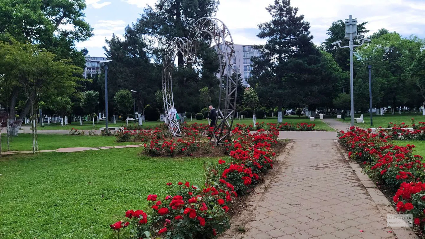 Инсталляция Сердце