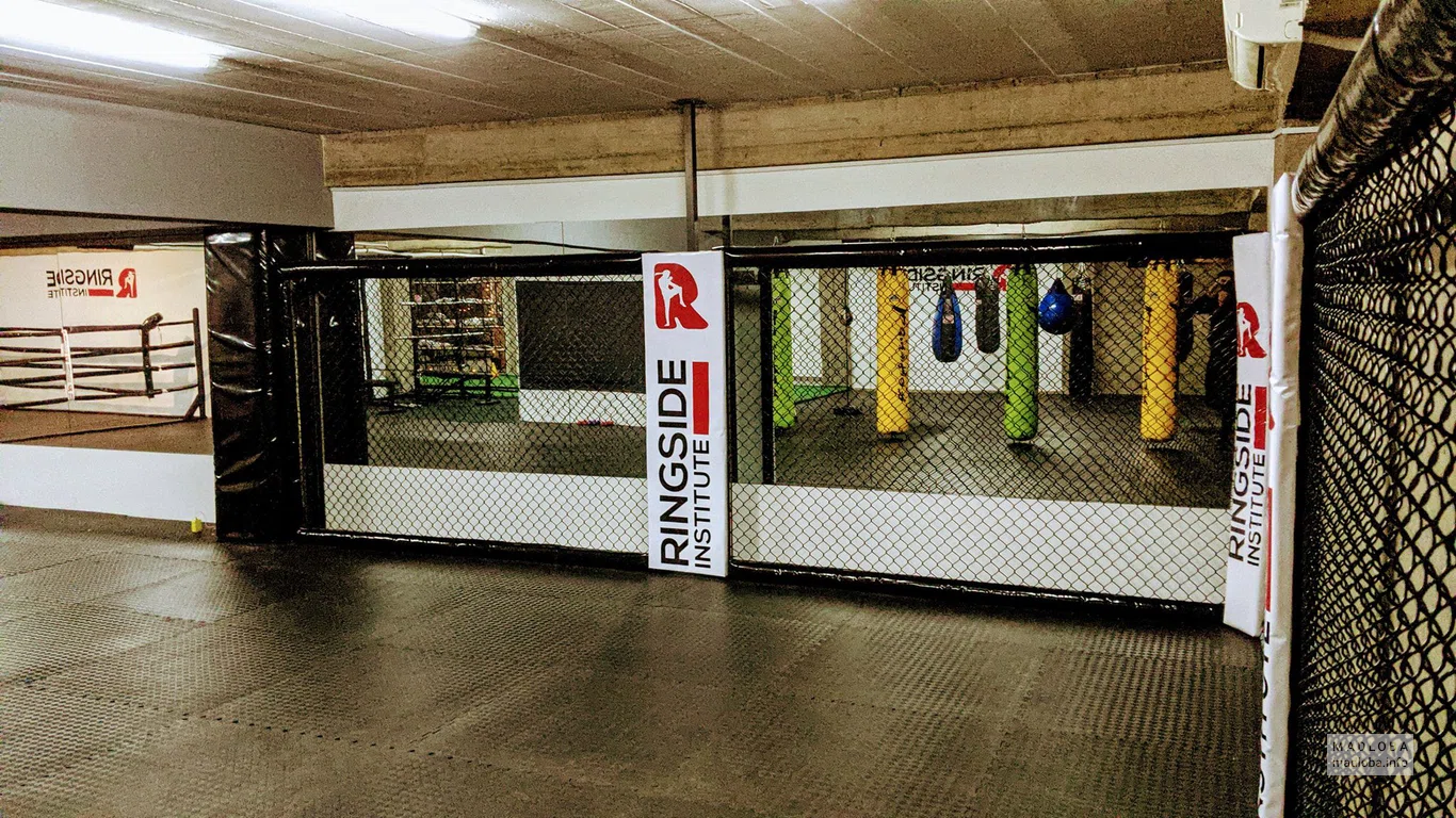 Ringside Institute