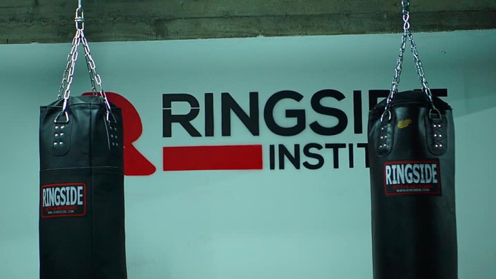 Ringside Institute