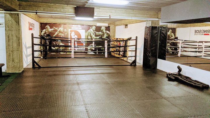 Ringside Institute