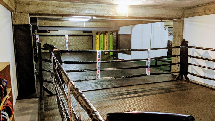 Ringside Institute