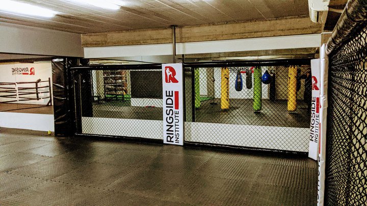 Ringside Institute