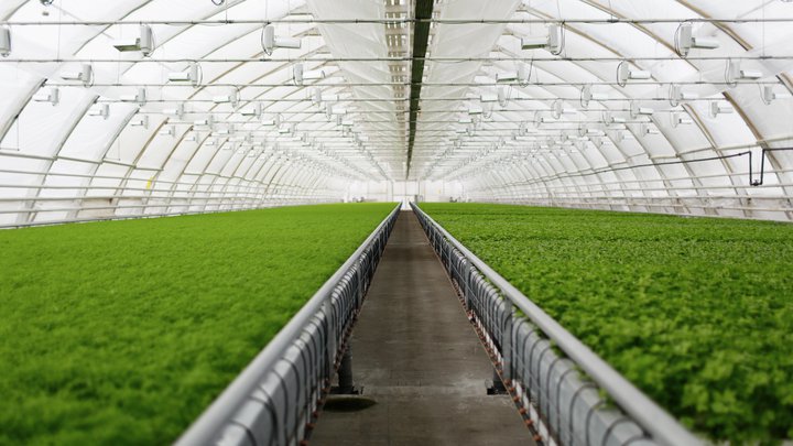 Поставщики сельскохозяйственной техники, оборудования и приборов "Isragreen"