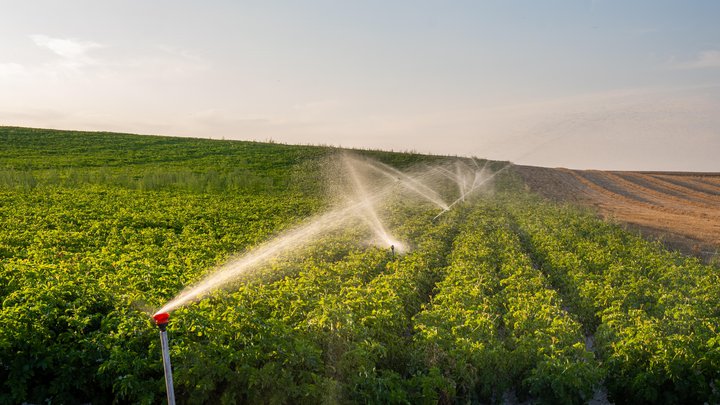 Поставщики сельскохозяйственной техники, оборудования и приборов "Isragreen"