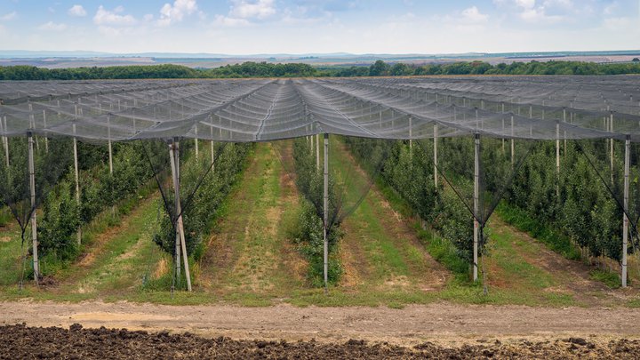 Поставщики сельскохозяйственной техники, оборудования и приборов "Isragreen"