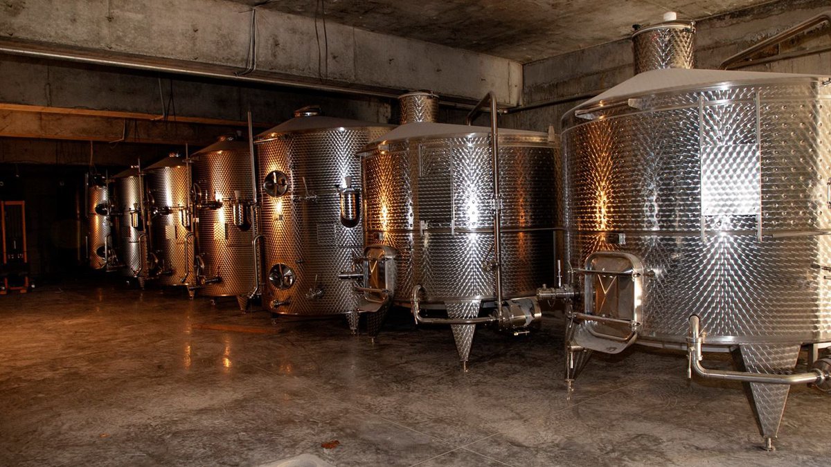 Wine-making Georgia
