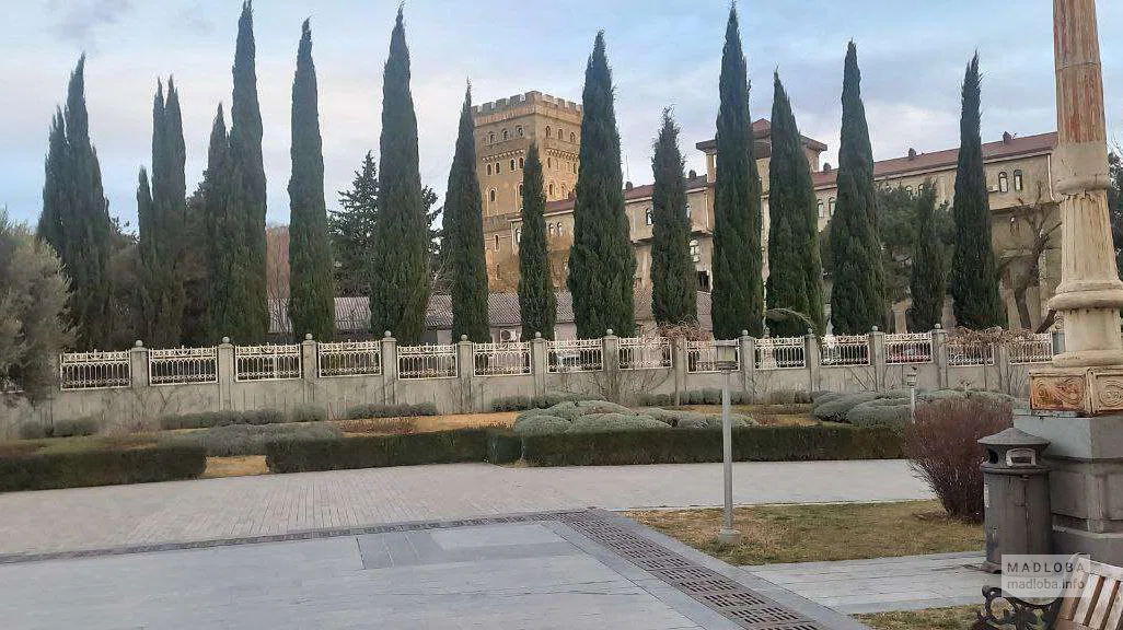 деревья на территории Цминда Самеба
