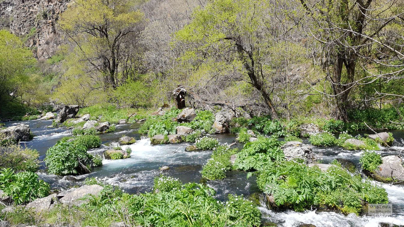 Бурная река в каньоне Дашбаши