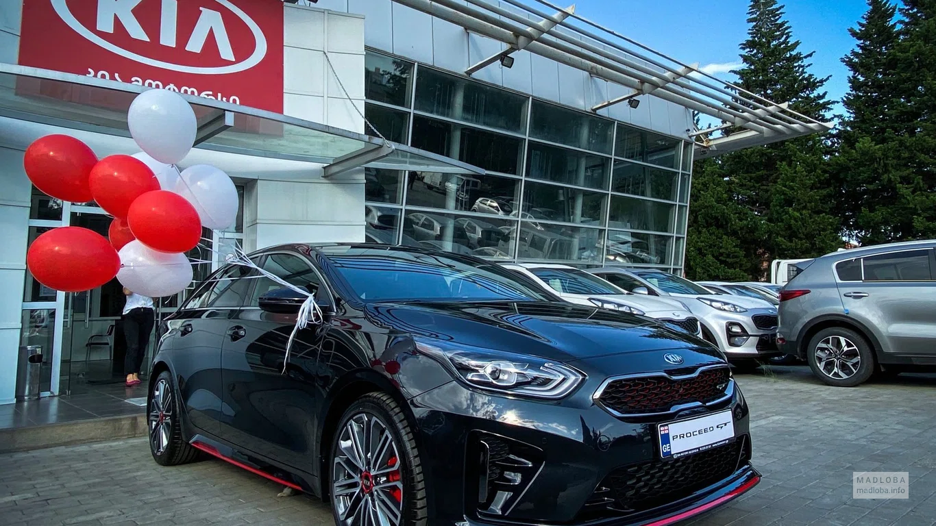 Центральный вход автосалона Kia Грузия