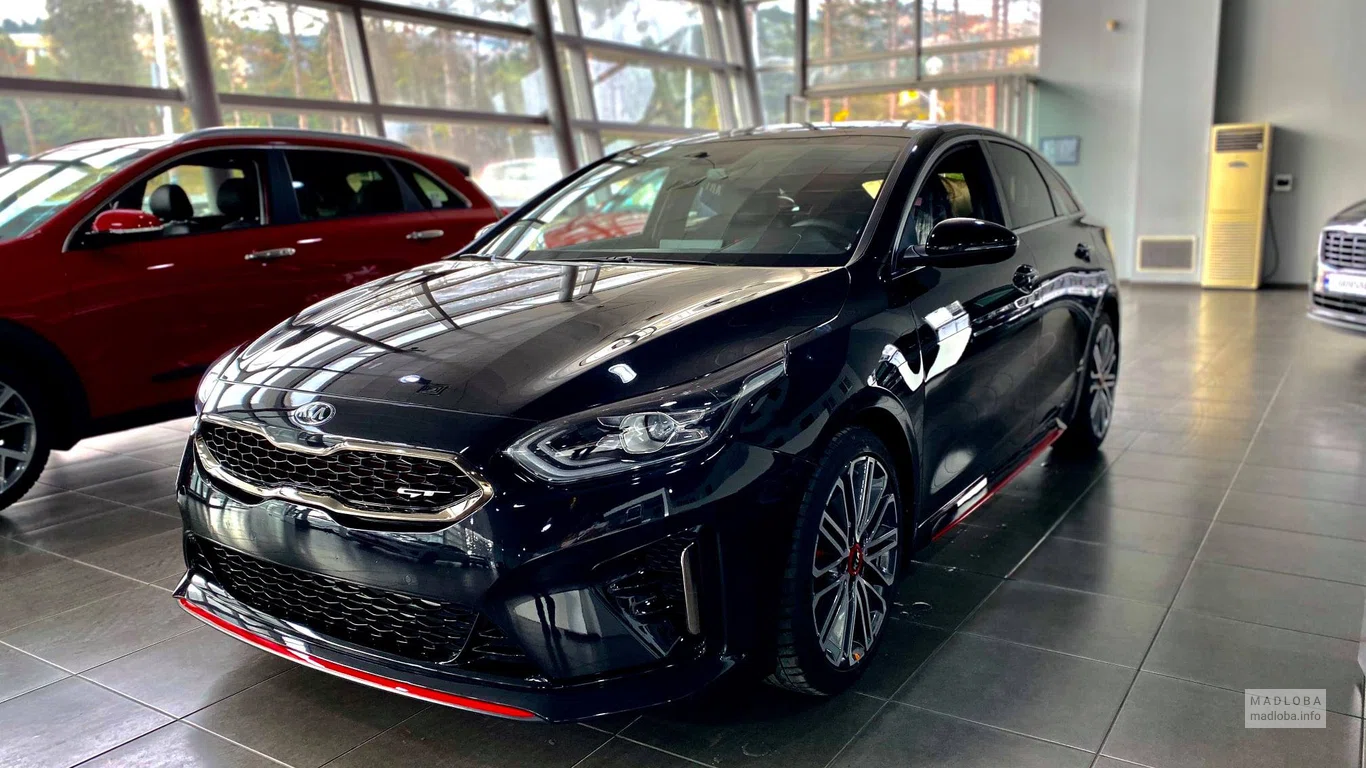 Интерьер автосалона Kia Georgia
