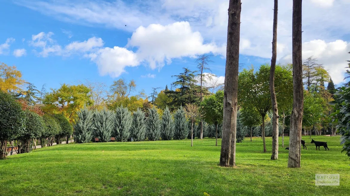 Kikvidze Park
