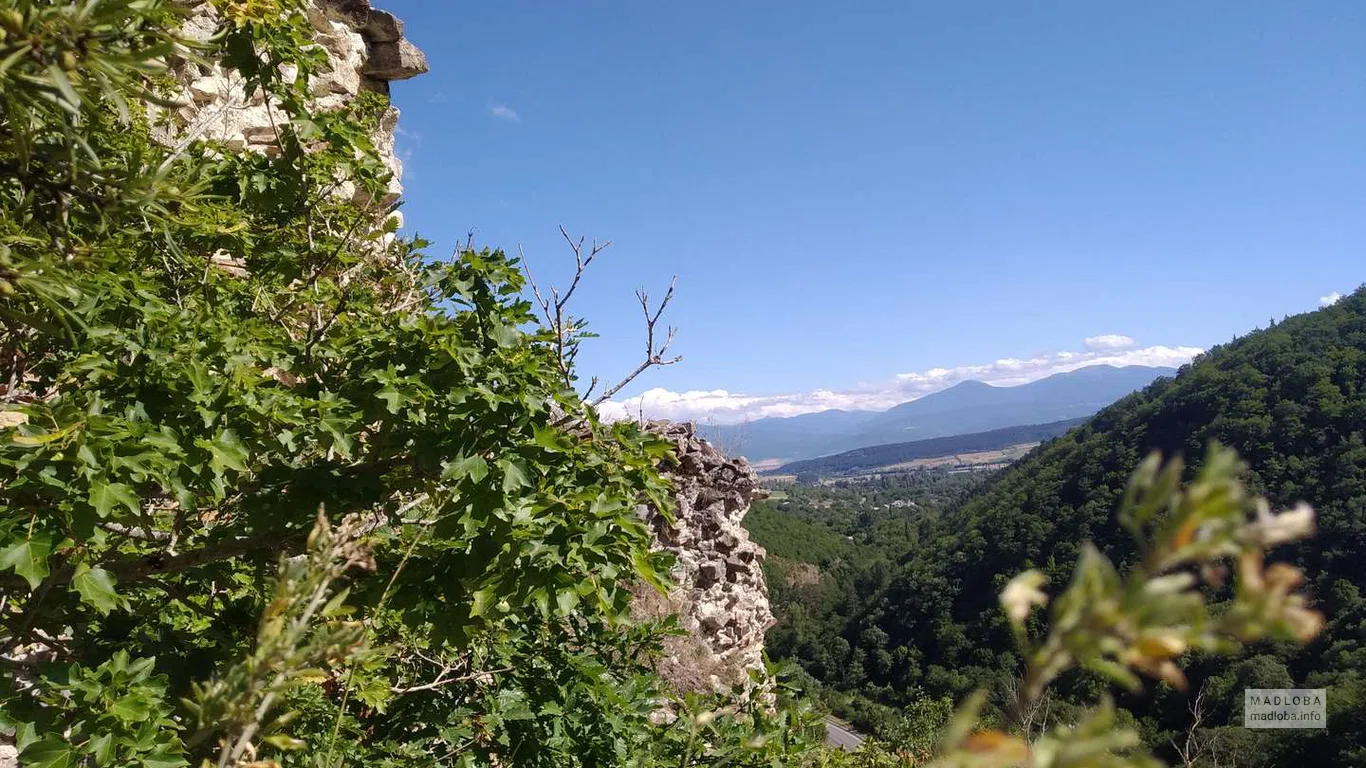 ალის ციხე შიდა ქართლში