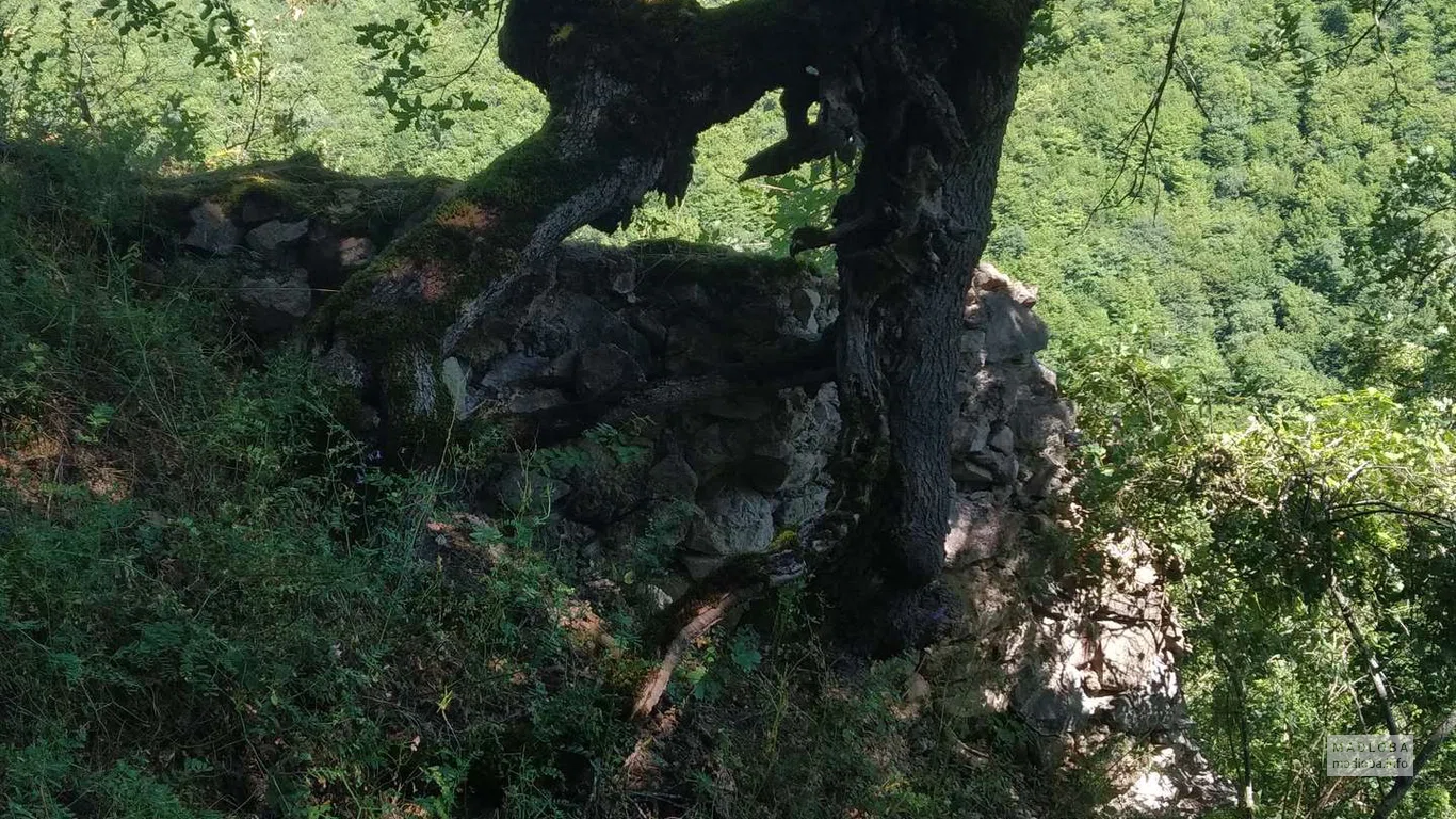 Ali Fortress in Shida Kartli