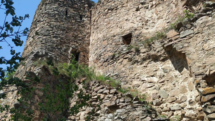 Berdiki Fortress (Poladauri)