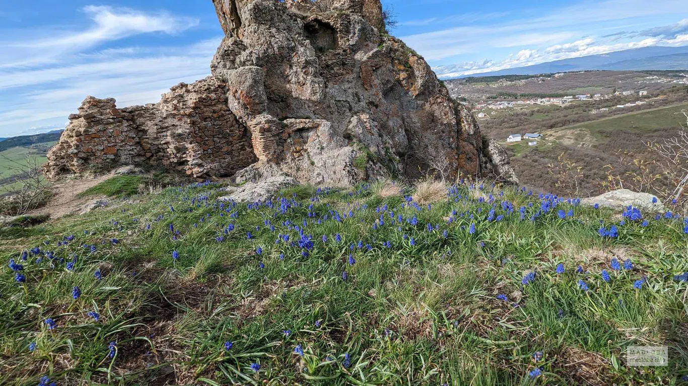 Крепость Коджори в Тбилиси