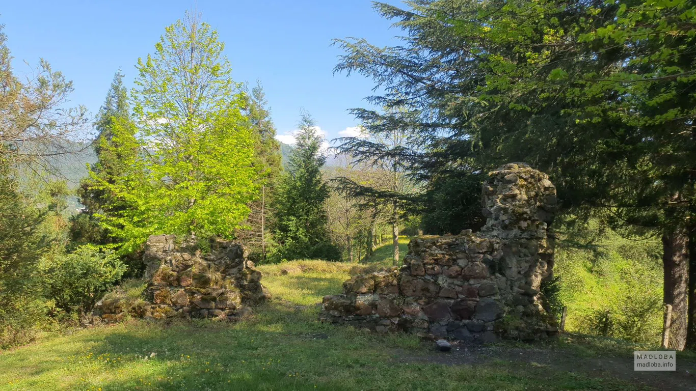 Mamuka Fortress in Adjara