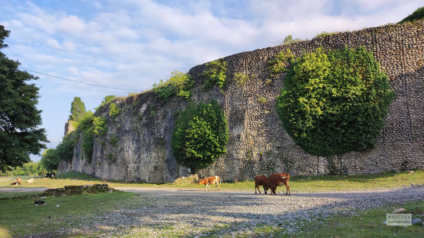 Rukhi Fortress in Samegrelo-Upper Svaneti