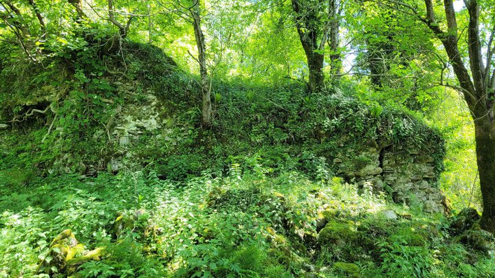 Tamakoni Fortress