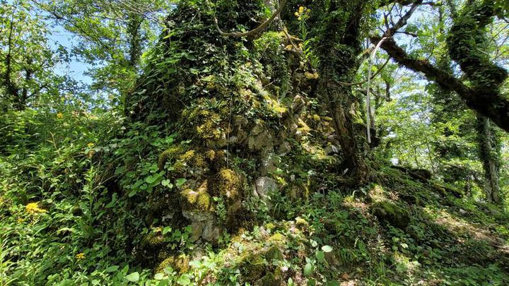 Tamakoni Fortress