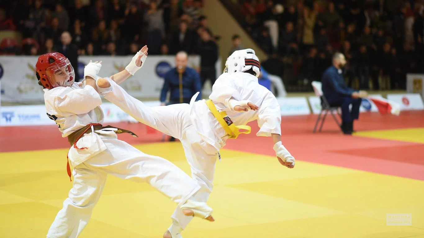 Соревнования в Georgian Kyokushin Karate National Union