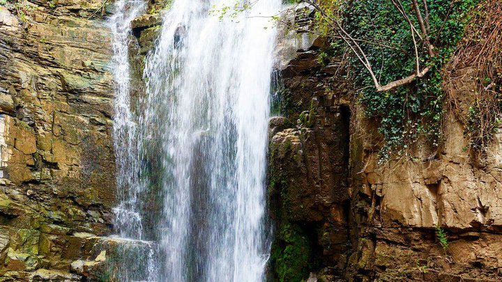 The gorge of Legvtakhevi (Fig)