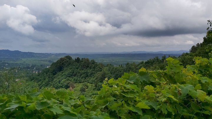 Экскурсия в село Лихаури