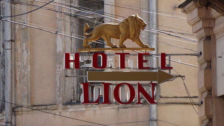 Lion