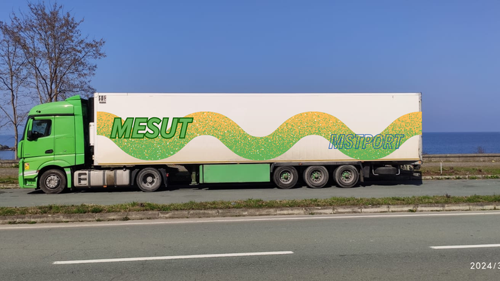 MESUT TRANSPORT GEORGİA