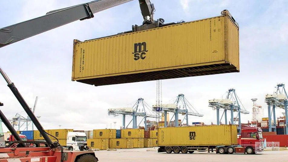 Разгрузка товаров компании "MSC Mediterranean Shipping Company"