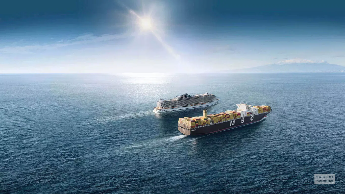 Корабли компании "MSC Mediterranean Shipping Company"