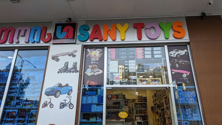 SanyToys (DS Mall)