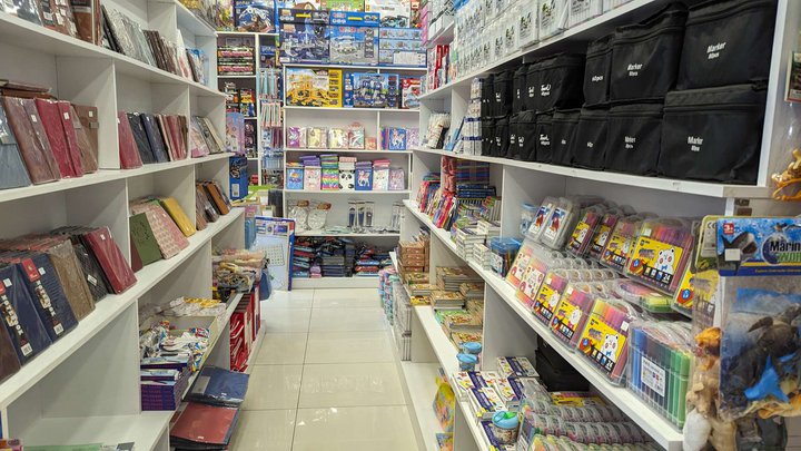 SanyToys (DS Mall)