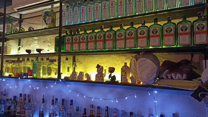 Meow Bar