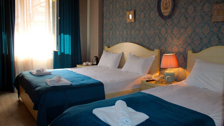 Hotel New Metekhi