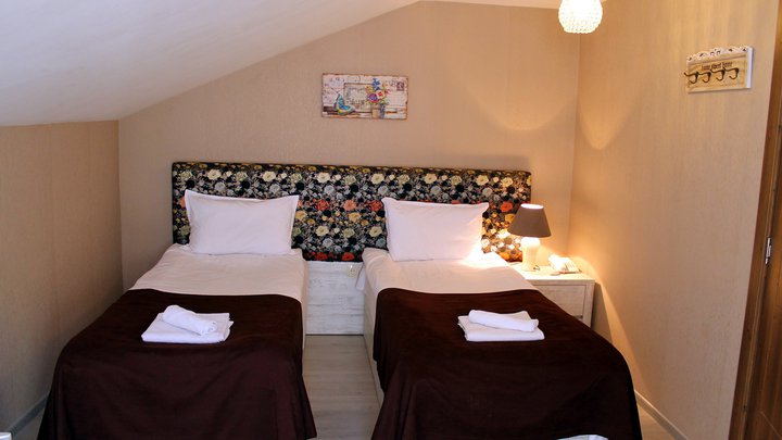 Hotel New Metekhi