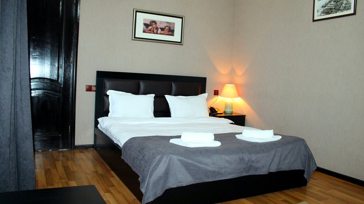 Hotel New Metekhi