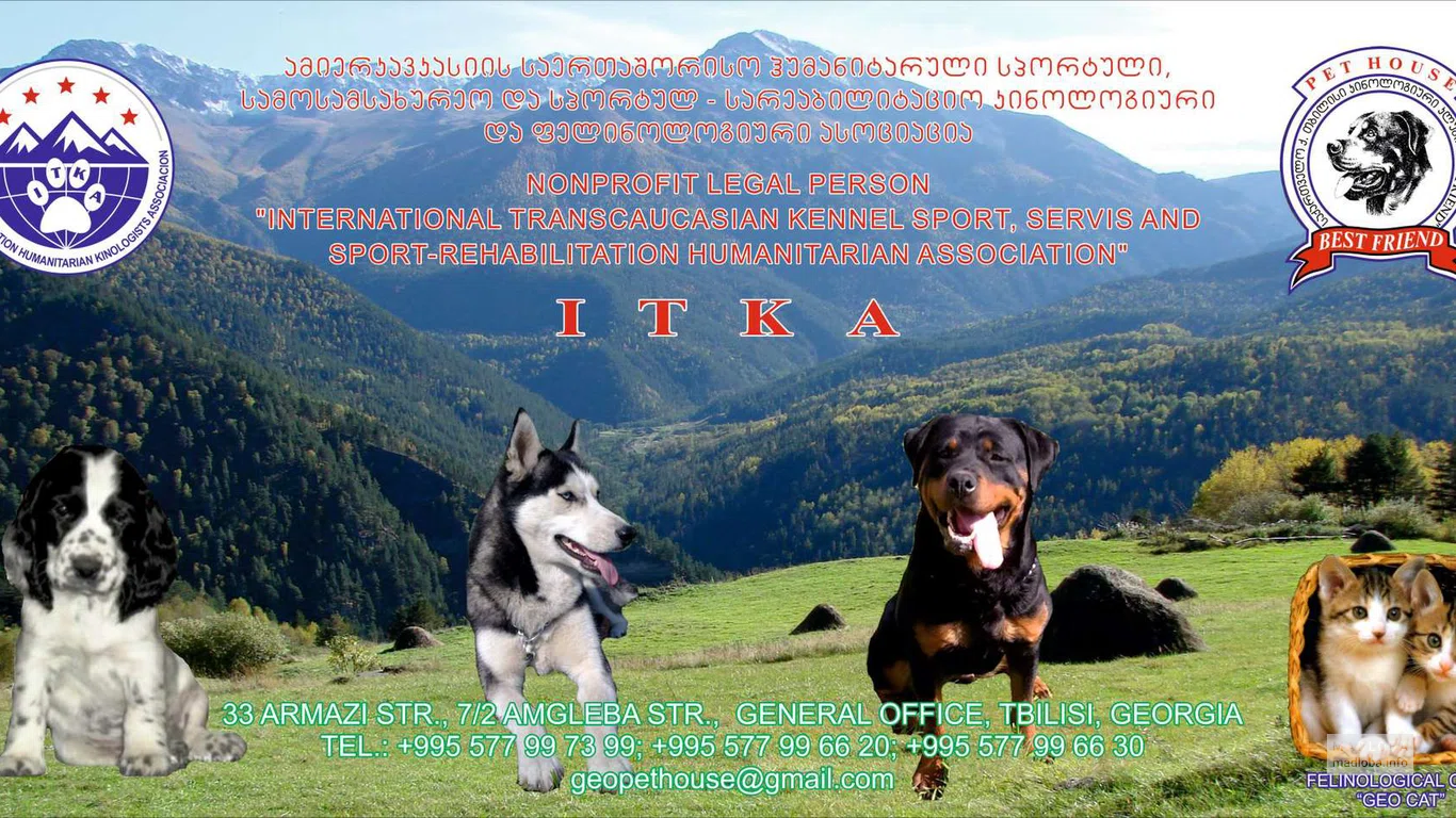 International Transcaucasian Cynological Association