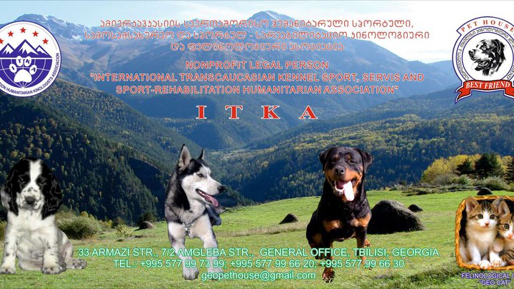 International Transcaucasian Cynological Association