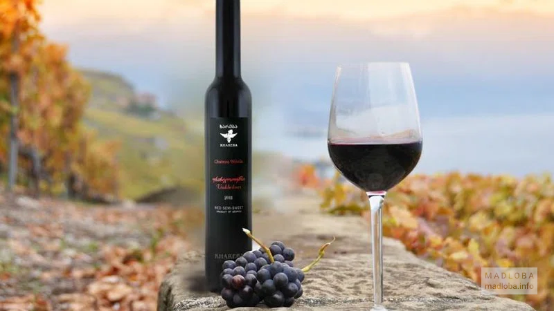 Вино и кисть винограда Mitra wine cellar