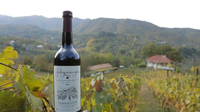 Mitra wine cellar