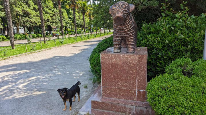 Youth Park
