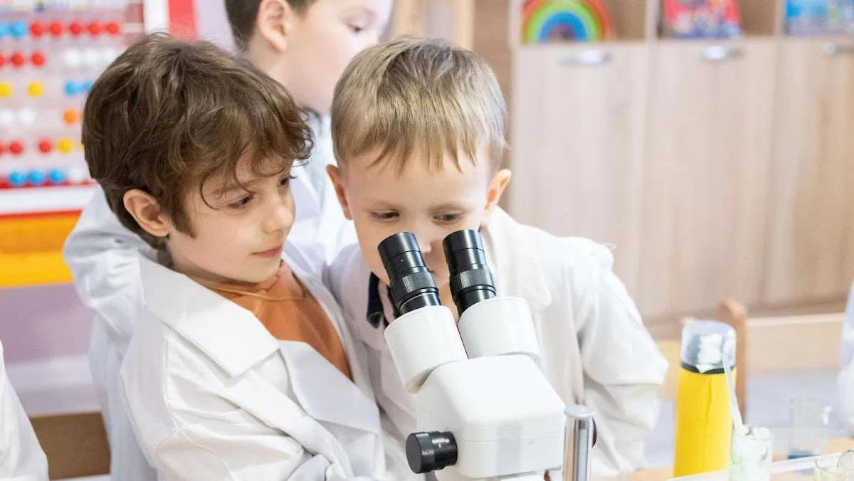 Частный детский сад "Montessori" в Тбилиси