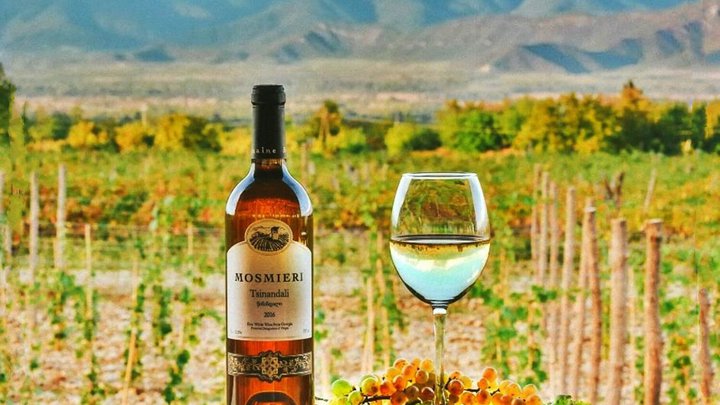 Mosmieri Kakheti Wine Center