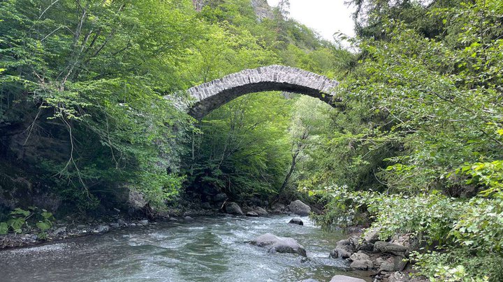 Tamara Bridge in Rkoni