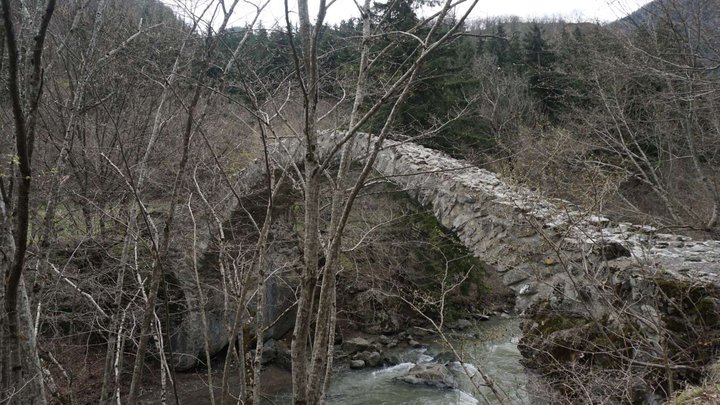 Tamara Bridge in Rkoni
