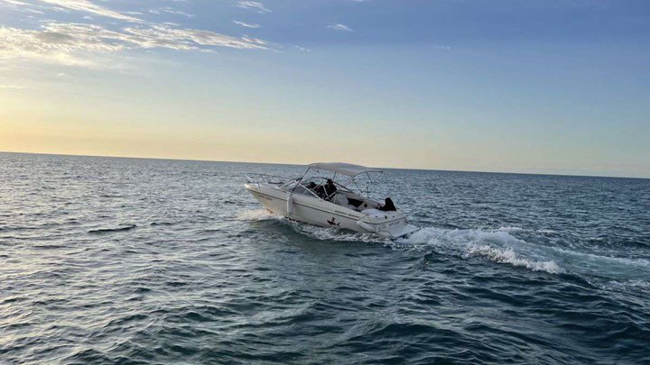 Motor boat "Happy Shark"