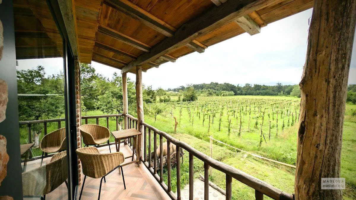 Mshvenieradze Winery -натуральное квеври-вино, редкие сорта и дегустации в Цхентаро