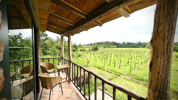 Mshvenieradze Winery